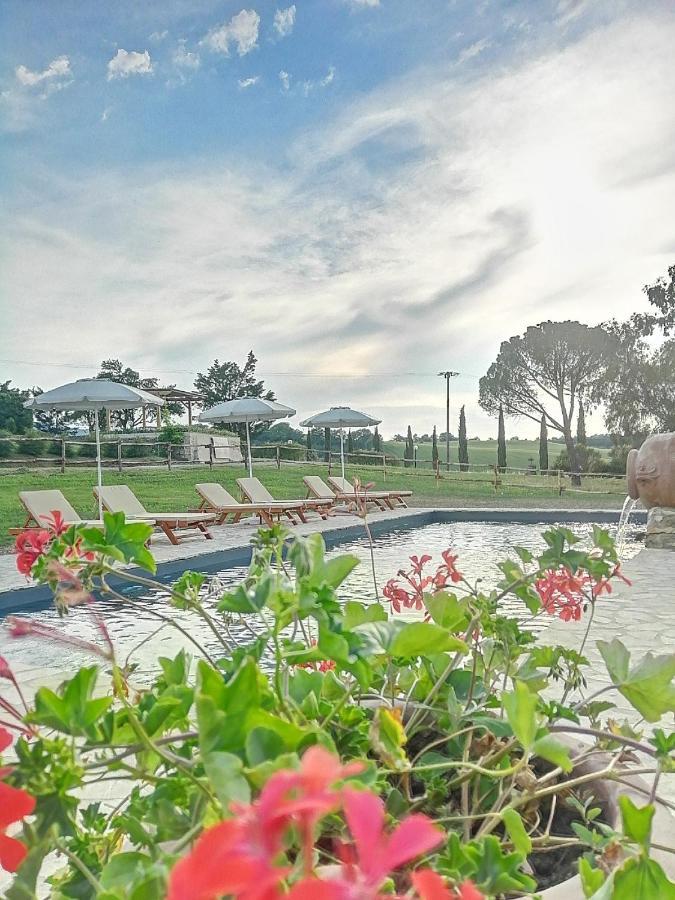 Wine Resort Colsereno Montalcino Dış mekan fotoğraf