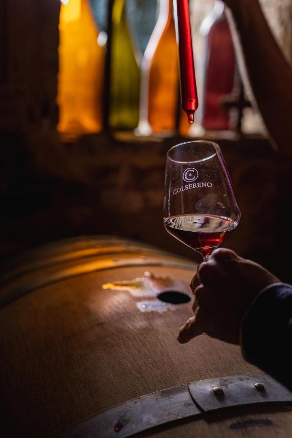 Wine Resort Colsereno Montalcino Dış mekan fotoğraf