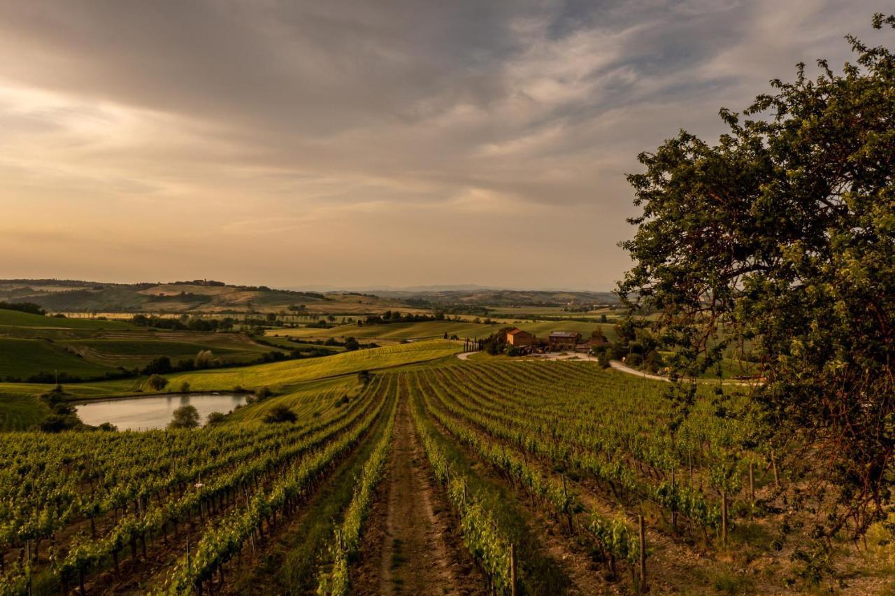 Wine Resort Colsereno Montalcino Dış mekan fotoğraf