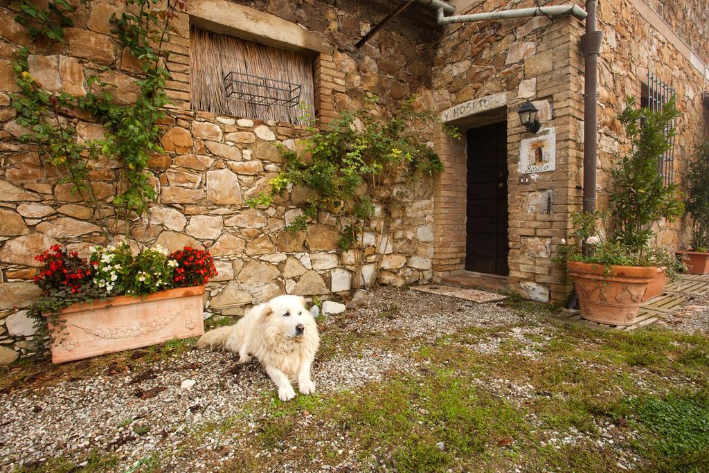 Wine Resort Colsereno Montalcino Dış mekan fotoğraf