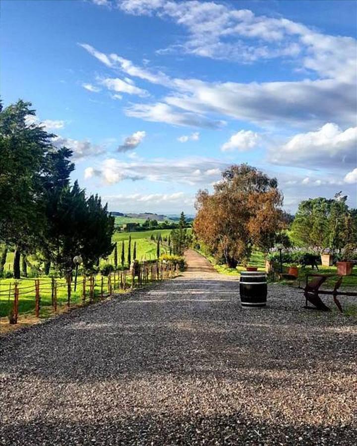 Wine Resort Colsereno Montalcino Dış mekan fotoğraf