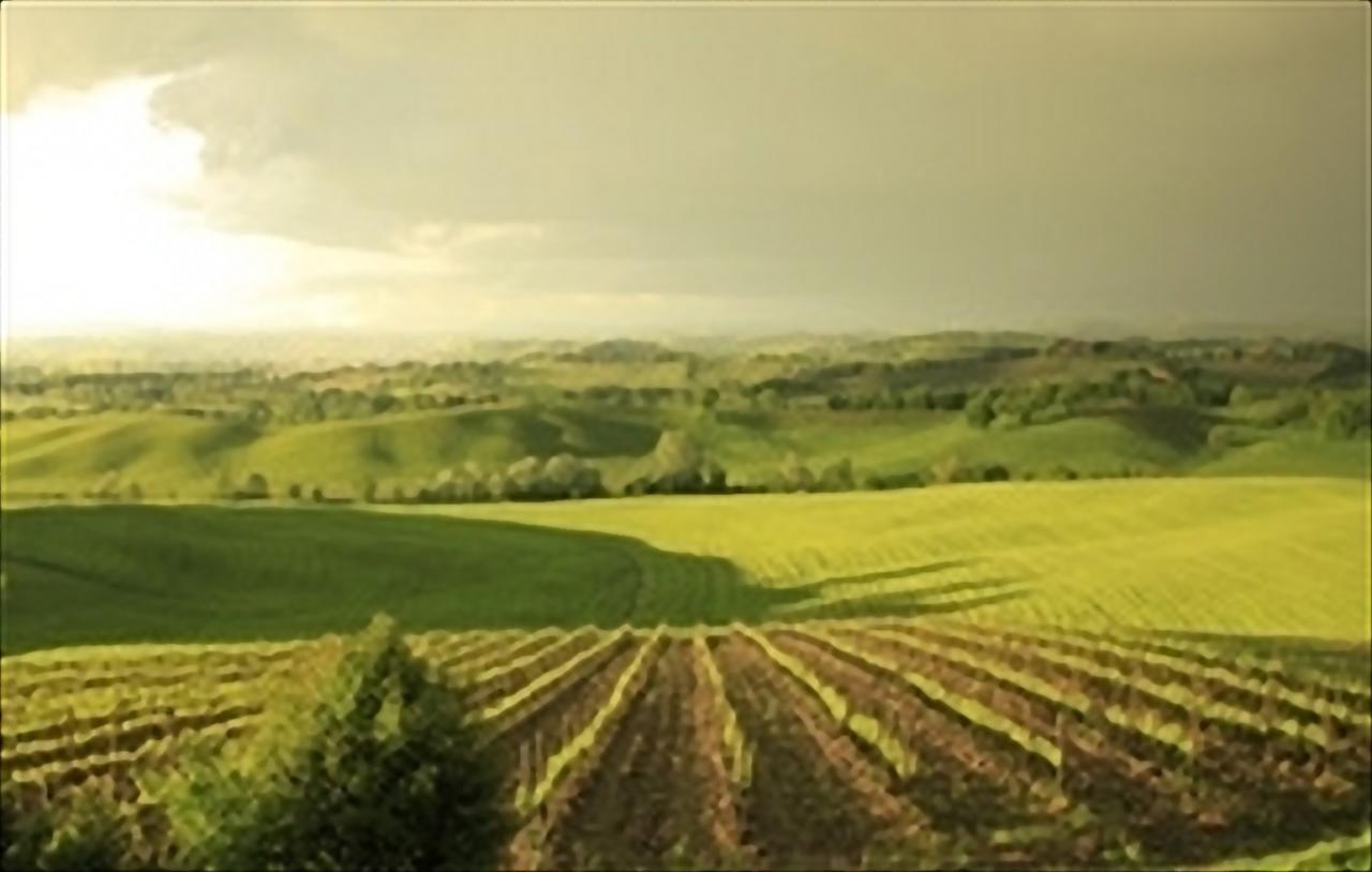 Wine Resort Colsereno Montalcino Dış mekan fotoğraf