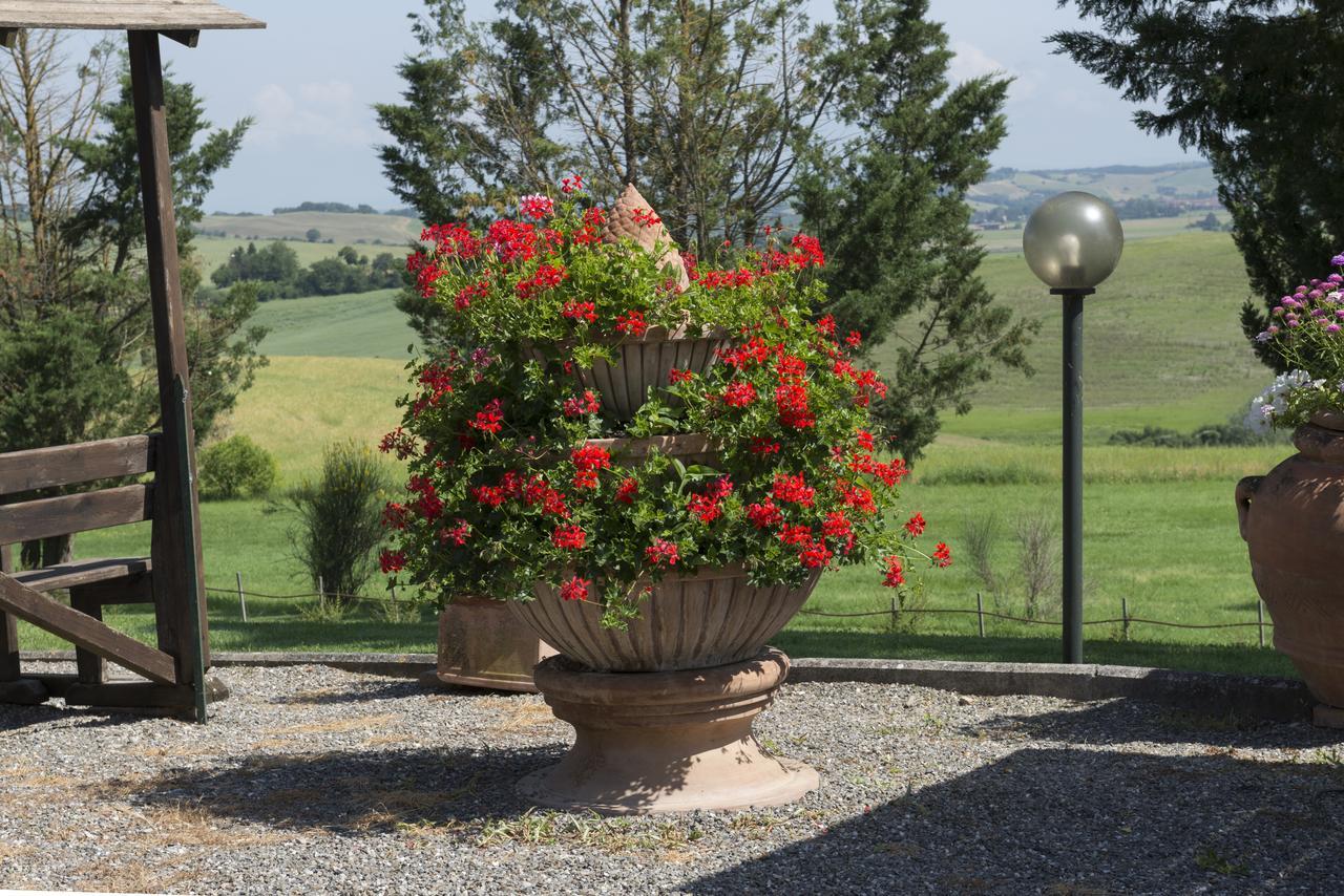 Wine Resort Colsereno Montalcino Dış mekan fotoğraf