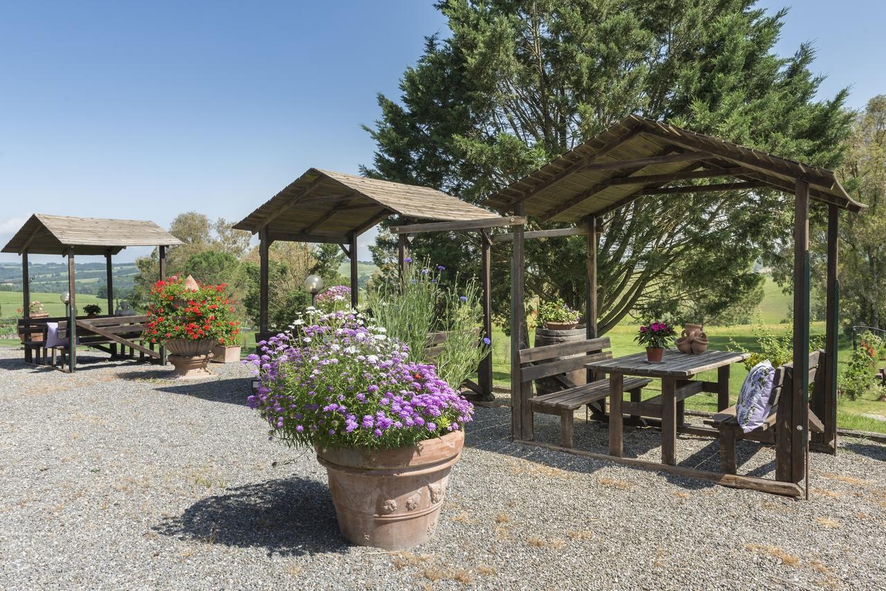 Wine Resort Colsereno Montalcino Dış mekan fotoğraf