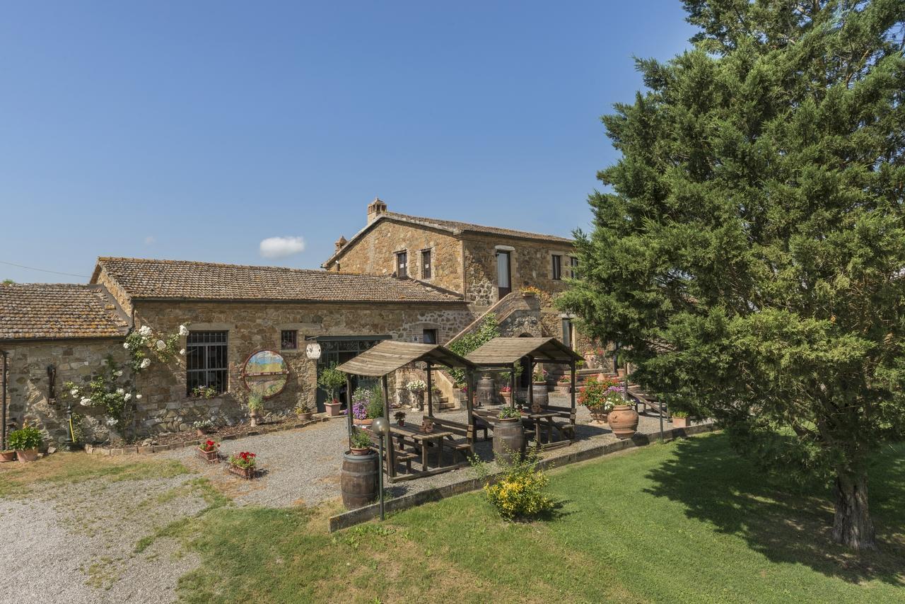 Wine Resort Colsereno Montalcino Dış mekan fotoğraf
