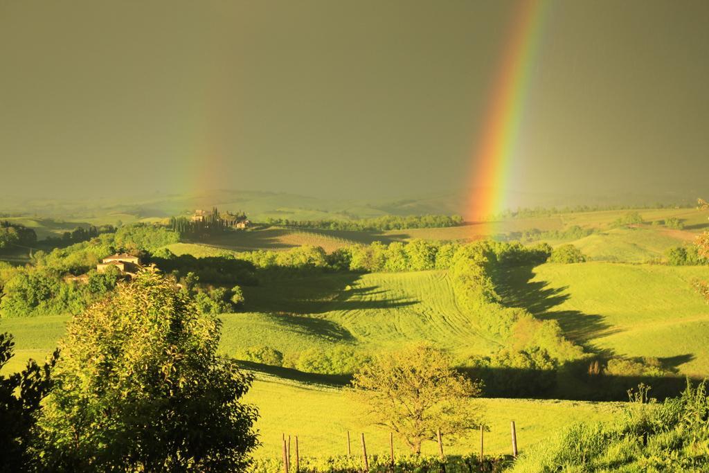 Wine Resort Colsereno Montalcino Dış mekan fotoğraf